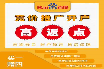 SEM托管实战案例：精准营销策略解析